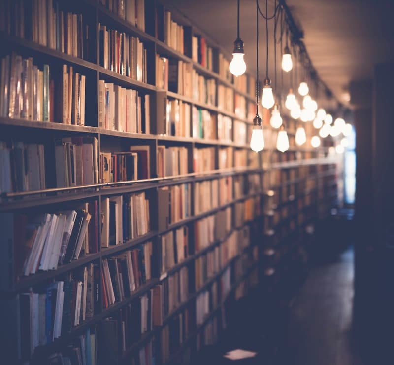 Library shelves filled with books